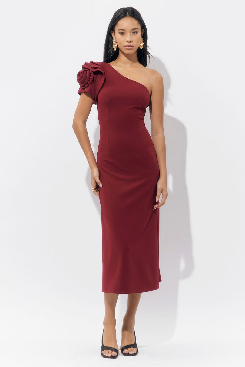 Dion Maxi Dress - Burgundy