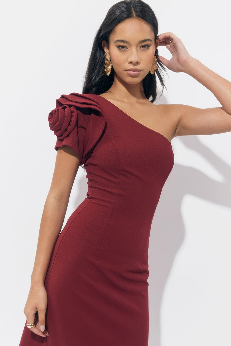 Dion Maxi Dress - Burgundy